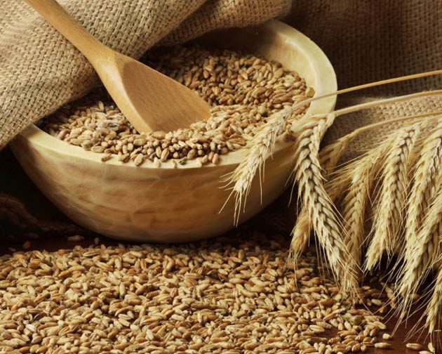 Agro Commodities