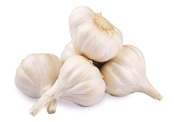 Agro Commodities