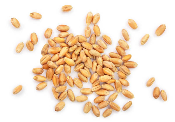 Agro Commodities
