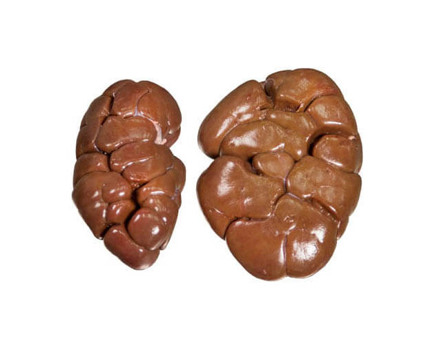 Beef/Buffalo