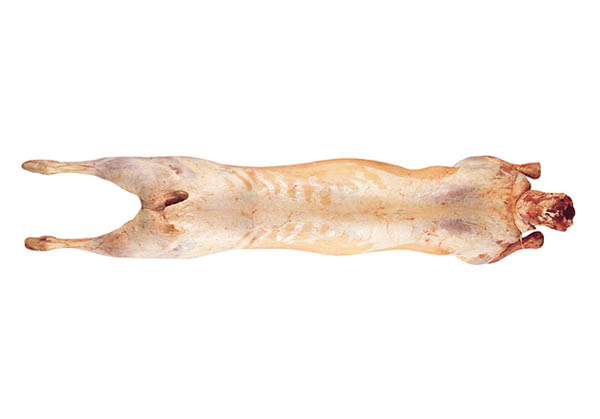 Lamb Meet/Offal
