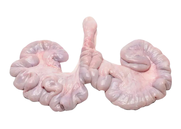 Pork Meet/Offal
