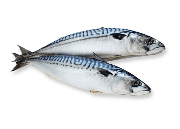 Seafood