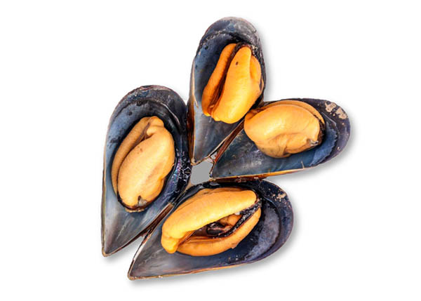 Seafood