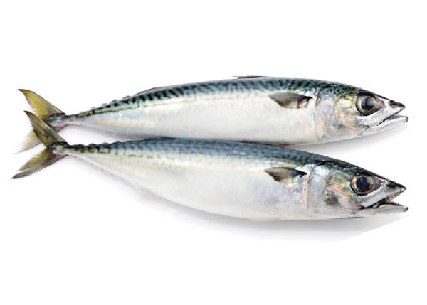 Seafood