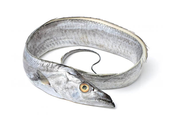 Seafood