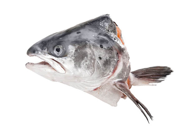 Seafood