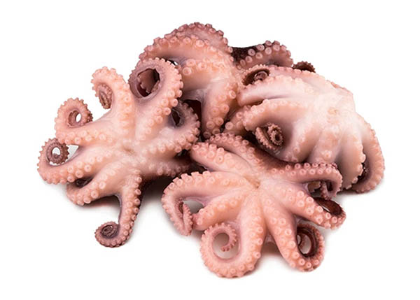 Seafood