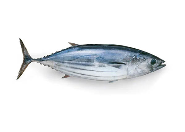 Seafood
