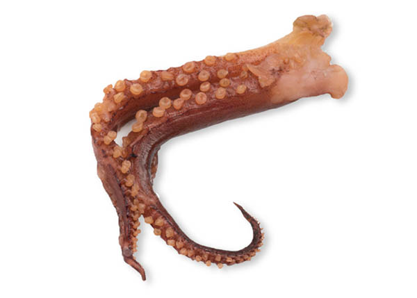 Seafood