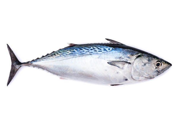 Seafood