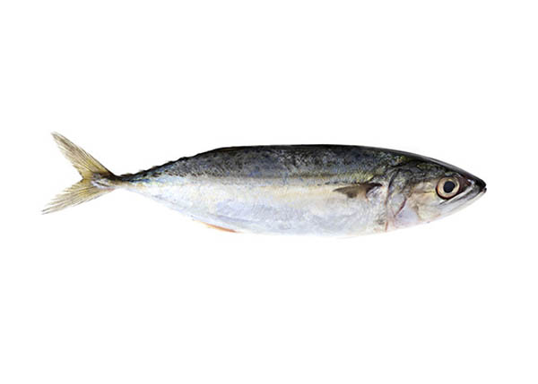 Seafood